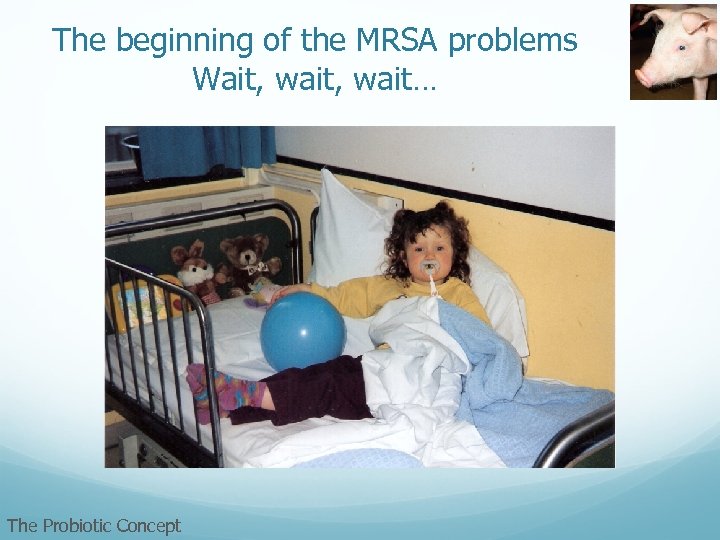 The beginning of the MRSA problems Wait, wait… The Probiotic Concept 