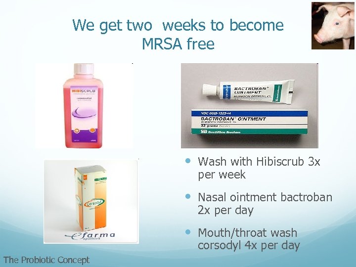 We get two weeks to become MRSA free Wash with Hibiscrub 3 x per