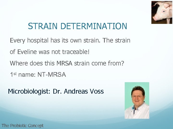 STRAIN DETERMINATION Every hospital has its own strain. The strain of Eveline was not