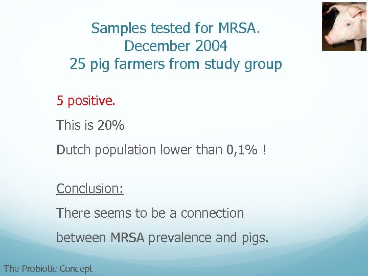 Samples tested for MRSA. December 2004 25 pig farmers from study group 5 positive.