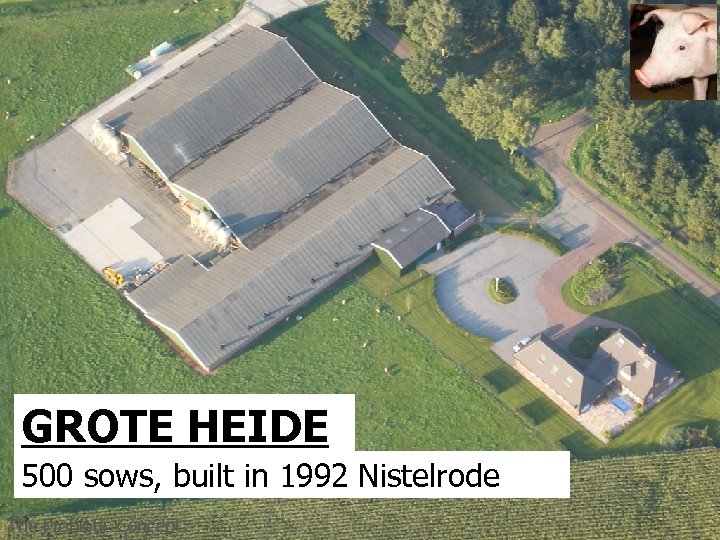 GROTE HEIDE 500 sows, built in 1992 Nistelrode The Probiotic Concept 