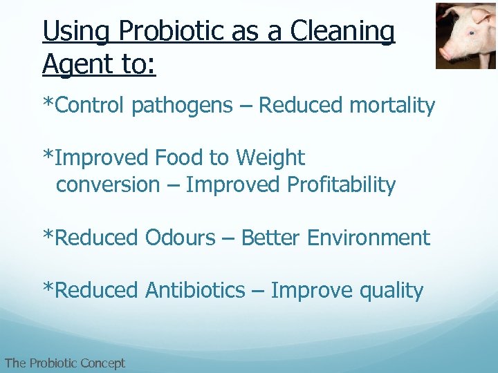 Using Probiotic as a Cleaning Agent to: *Control pathogens – Reduced mortality *Improved Food