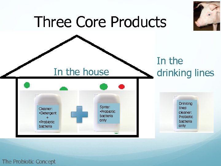Three Core Products Desired and undesired bacteria Adding desired bacteria In the house Cleaner:
