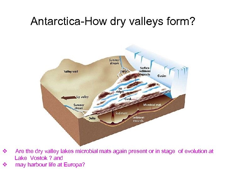 Antarctica-How dry valleys form? Antarctica-Dry valley areas v Are the dry valley lakes microbial