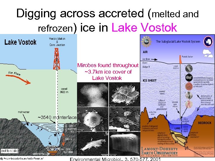 Digging across accreted (melted and refrozen) ice in Lake Vostok Mirobes found throughout ~3.