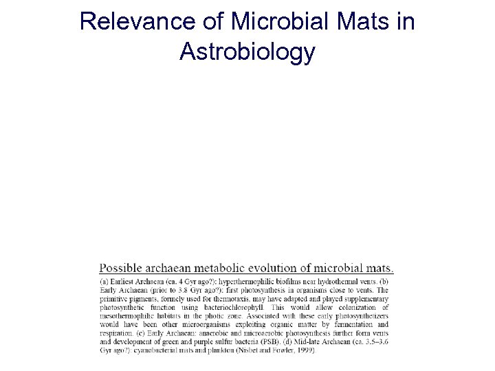 Relevance of Microbial Mats in Astrobiology 