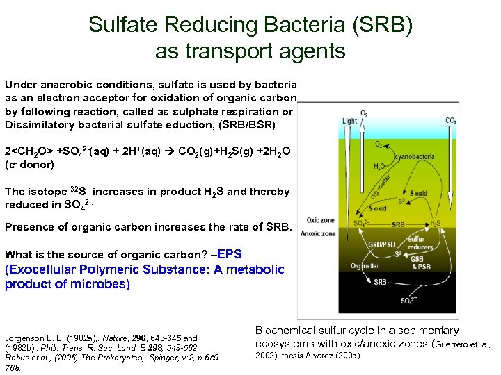 Sulfate Reducing Bacteria (SRB) as transport agents Under anaerobic conditions, sulfate is used by