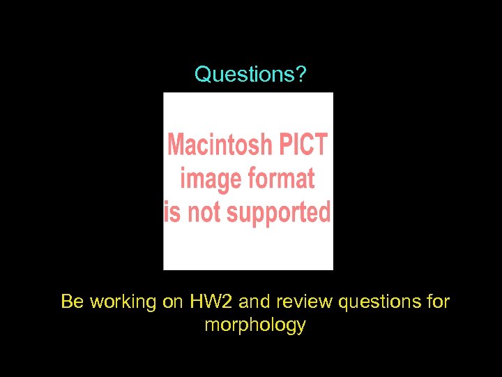 Questions? Be working on HW 2 and review questions for morphology 