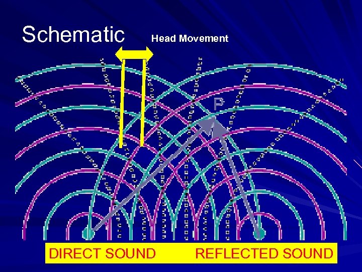 Schematic Head Movement DIRECT SOUND REFLECTED SOUND 