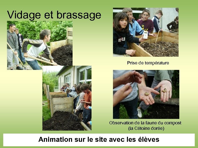 Vidage et brassage Prise de température Observation de la faune du compost (la Cétoine