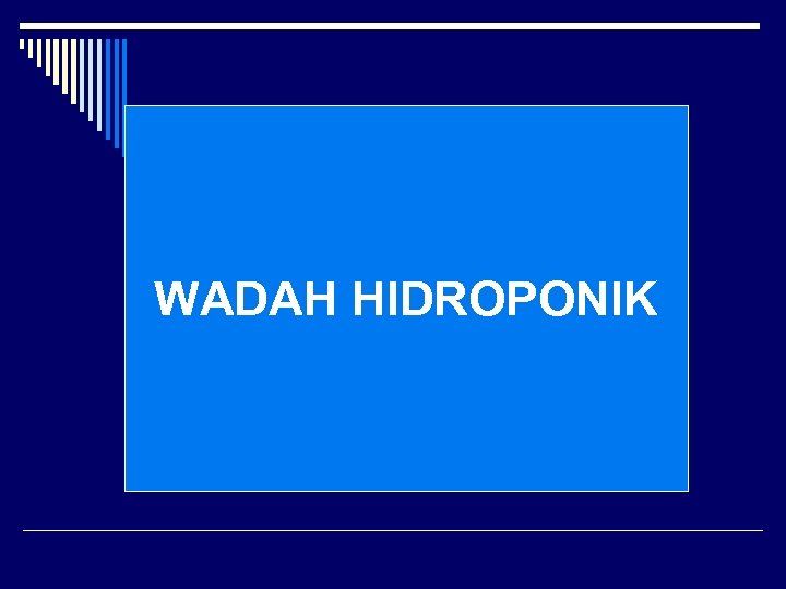 WADAH HIDROPONIK 