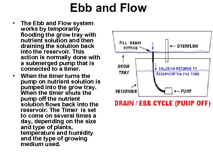 Ebb and Flow • The Ebb and Flow system works by temporarily flooding the