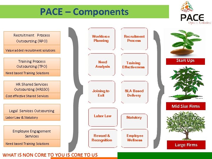 PACE – Components Recruitment Process Outsourcing (RPO) Workforce Planning Recruitment Process Need Analysis Training