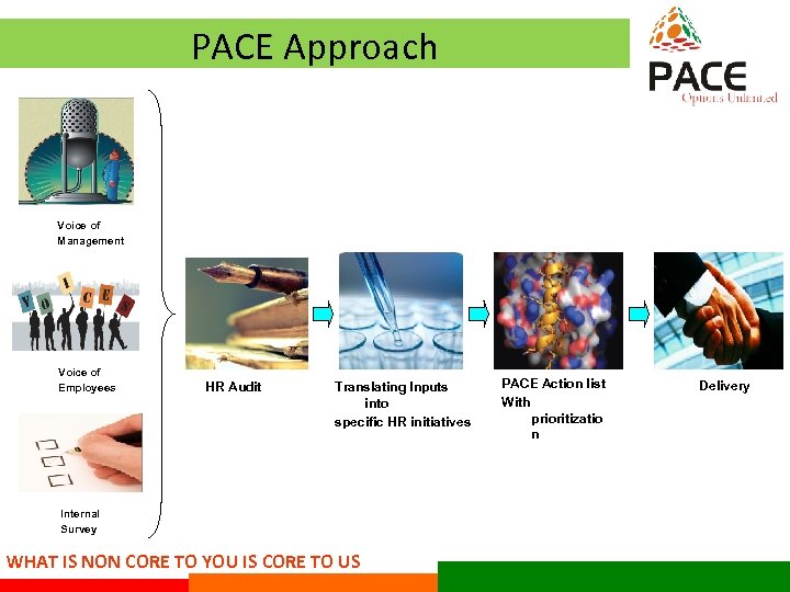 PACE Approach Voice of Management Voice of Employees HR Audit Translating Inputs into specific