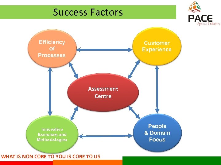 Success Factors. Efficiency of Processes Customer Experience Assessment Centre Innovative Exercises and Methodologies WHAT