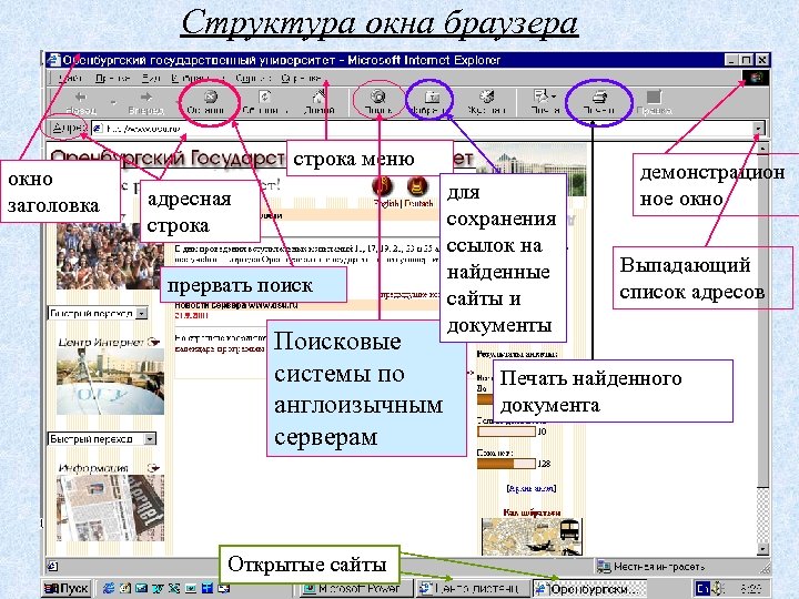 Структура окна браузера окно заголовка строка меню адресная строка прервать поиск для сохранения ссылок