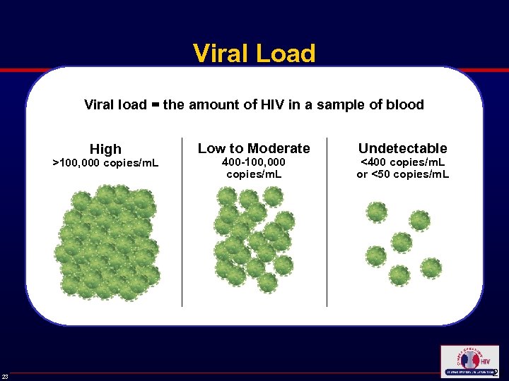 Viral Load Viral load = the amount of HIV in a sample of blood