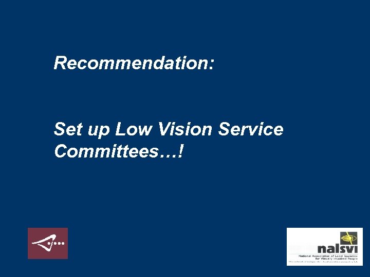 Recommendation: Set up Low Vision Service Committees…! 
