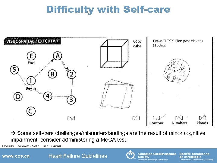 Difficulty with Self-care Some self-care challenges/misunderstandings are the result of minor cognitive impairment; consider