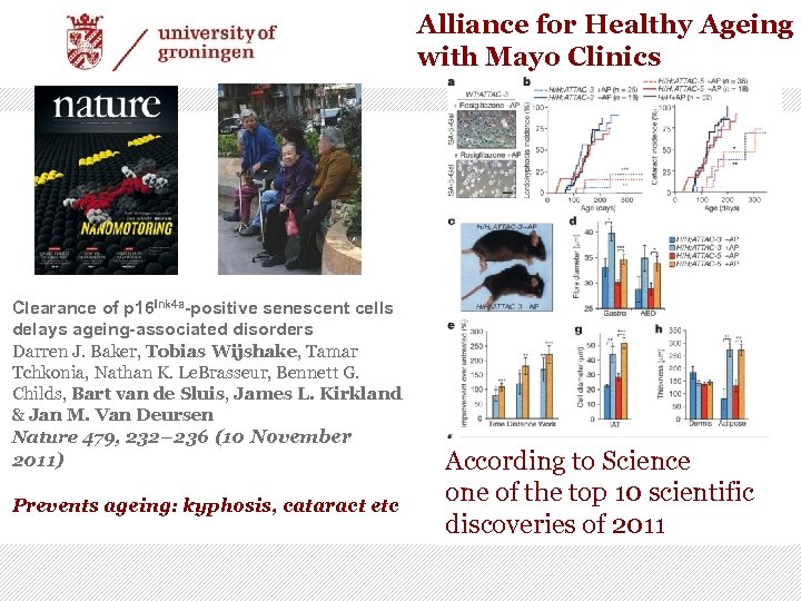 Alliance for Healthy Ageing with Mayo Clinics Clearance of p 16 Ink 4 a-positive