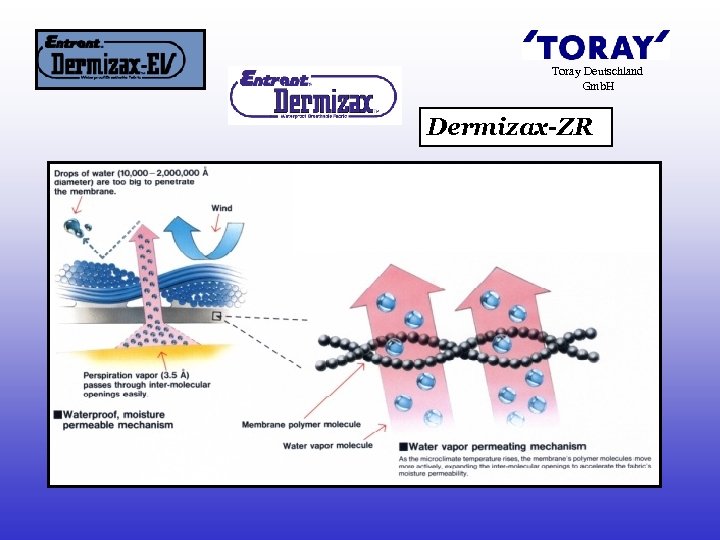 Toray Deutschland Gmb. H Dermizax-ZR 