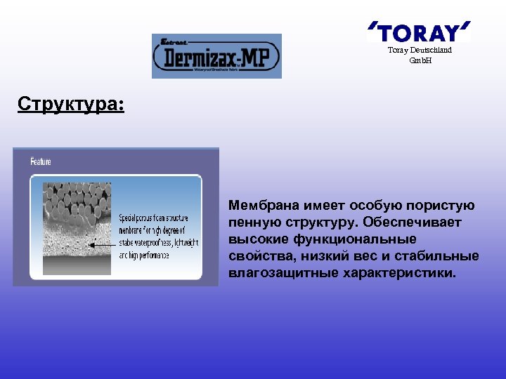 Toray Deutschland Gmb. H Структура: Мембрана имеет особую пористую пенную структуру. Обеспечивает высокие функциональные
