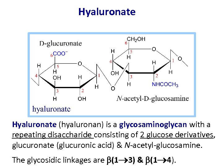 Hyaluronate (hyaluronan) is a glycosaminoglycan with a repeating disaccharide consisting of 2 glucose derivatives,