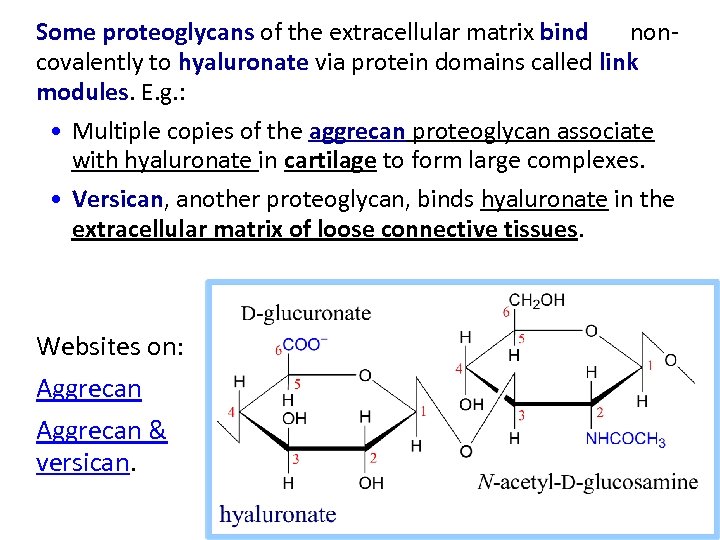 Some proteoglycans of the extracellular matrix bind noncovalently to hyaluronate via protein domains called