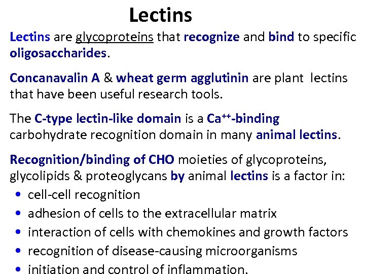 Lectins are glycoproteins that recognize and bind to specific oligosaccharides. Concanavalin A & wheat