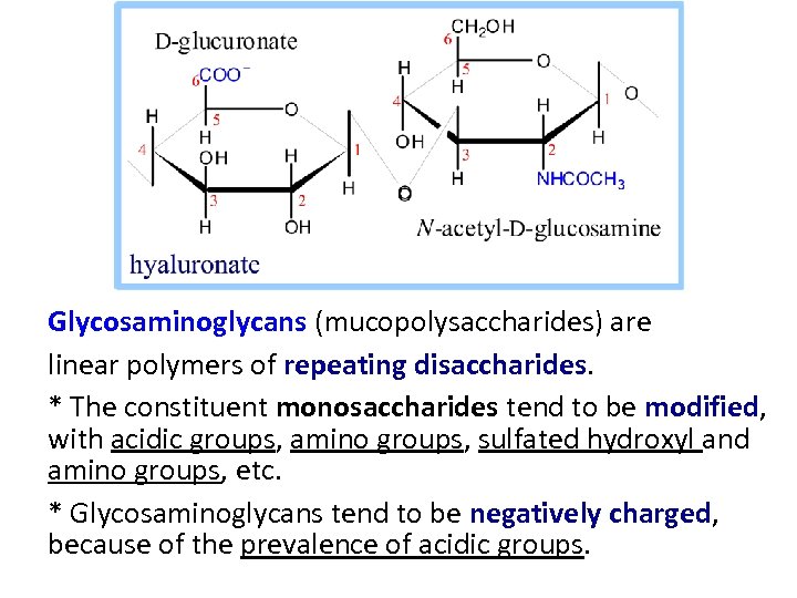 Glycosaminoglycans (mucopolysaccharides) are linear polymers of repeating disaccharides. * The constituent monosaccharides tend to