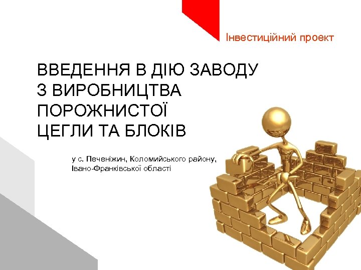 1 Інвестиційний проект введення в дію заводу з виробництва порожнистої цегли та блоків Інвестиційний