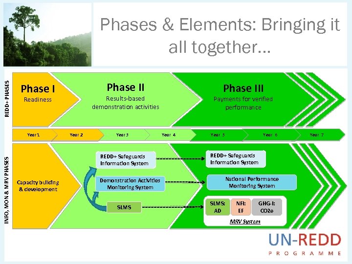 REDD+ PHASES Phases & Elements: Bringing it all together. . . Year 2 Year