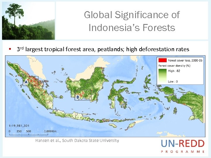 Global Significance of Indonesia’s Forests • 3 rd largest tropical forest area, peatlands; high