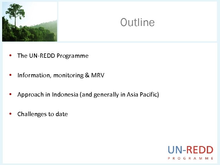 Outline • The UN-REDD Programme • Information, monitoring & MRV • Approach in Indonesia