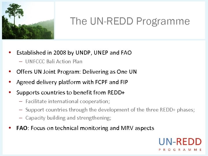 The UN-REDD Programme • Established in 2008 by UNDP, UNEP and FAO – UNFCCC