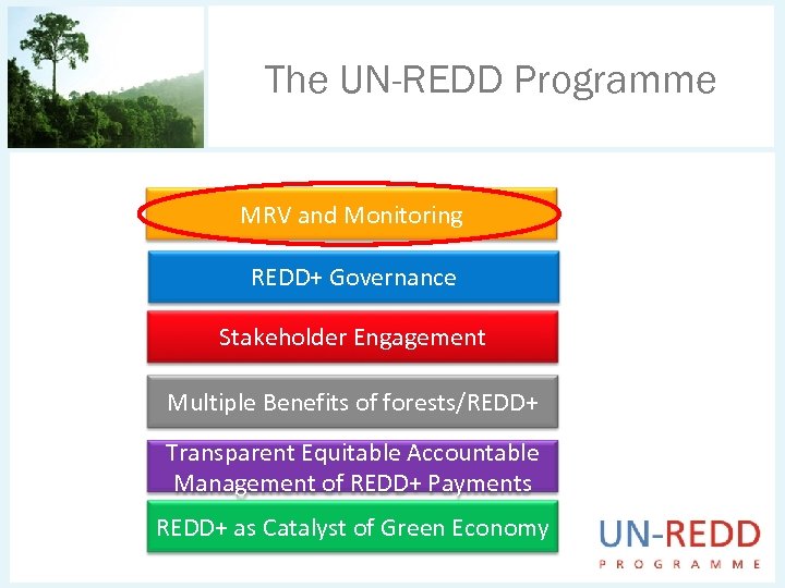 The UN-REDD Programme MRV and Monitoring REDD+ Governance Stakeholder Engagement Multiple Benefits of forests/REDD+