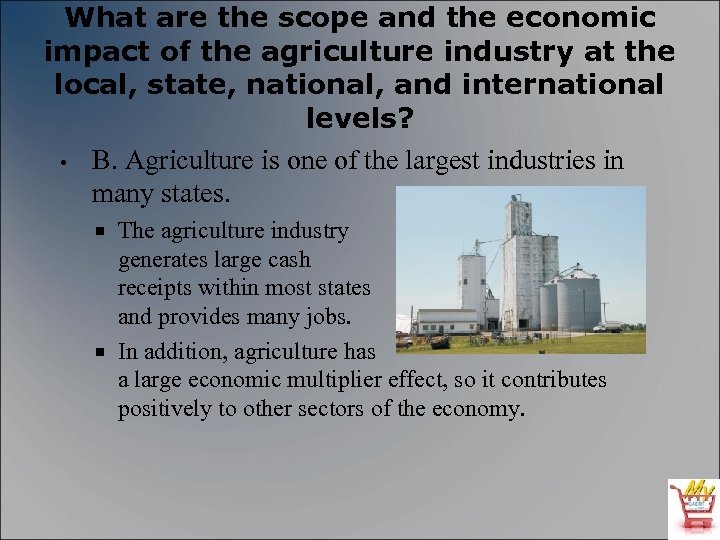 What are the scope and the economic impact of the agriculture industry at the