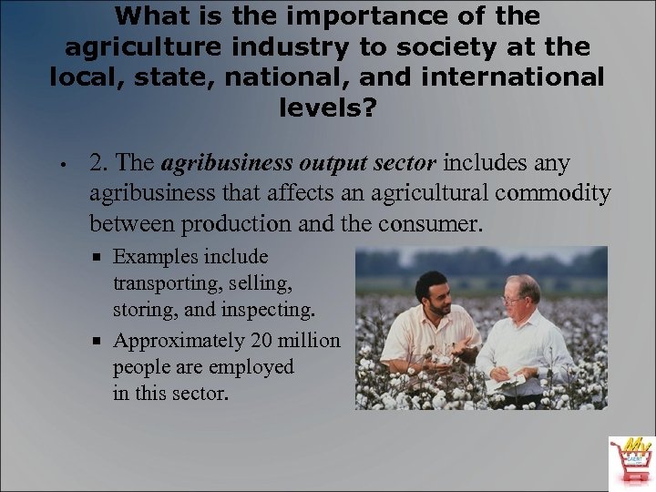 What is the importance of the agriculture industry to society at the local, state,