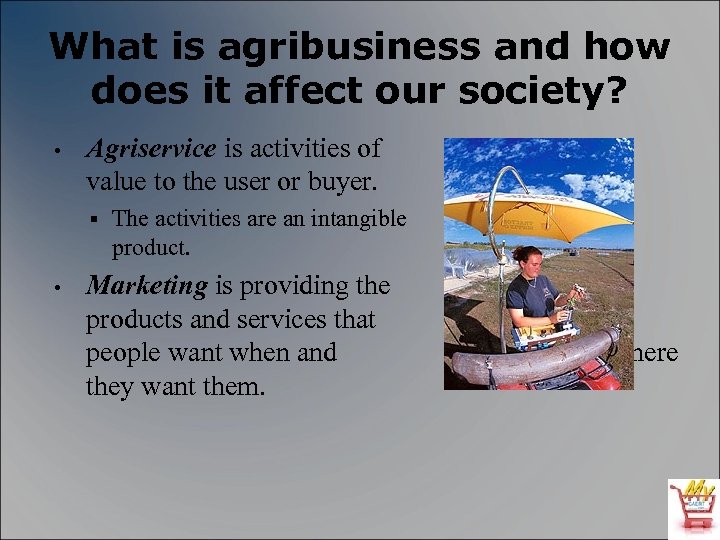 What is agribusiness and how does it affect our society? • Agriservice is activities