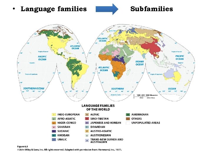  • Language families Subfamilies 