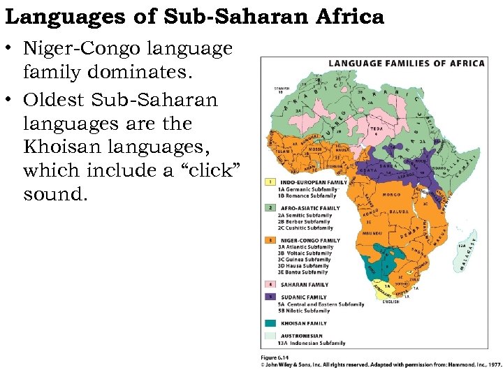 Languages of Sub-Saharan Africa • Niger-Congo language family dominates. • Oldest Sub-Saharan languages are