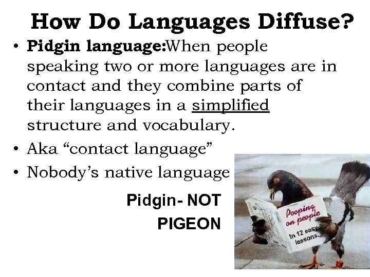 How Do Languages Diffuse? • Pidgin language: When people speaking two or more languages