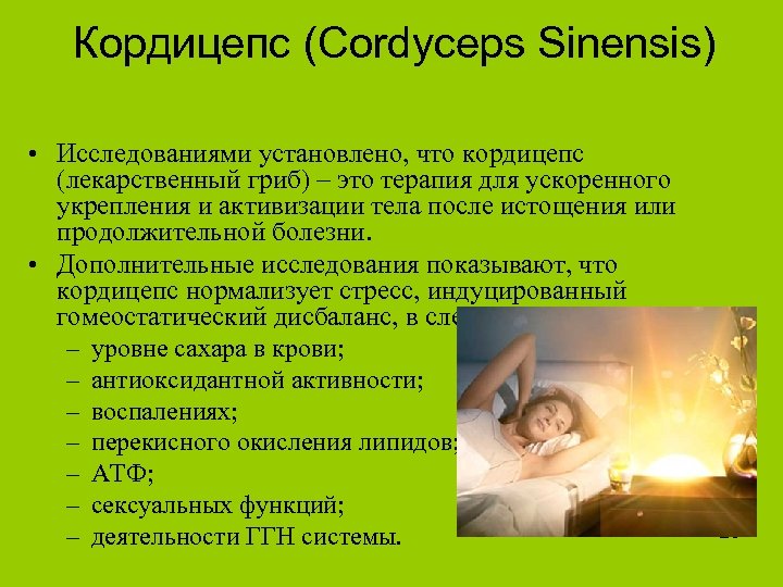 Кордицепс (Cordyceps Sinensis) • Исследованиями установлено, что кордицепс (лекарственный гриб) – это терапия для