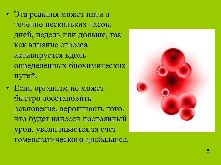  • Эта реакция может идти в течение нескольких часов, дней, недель или дольше,