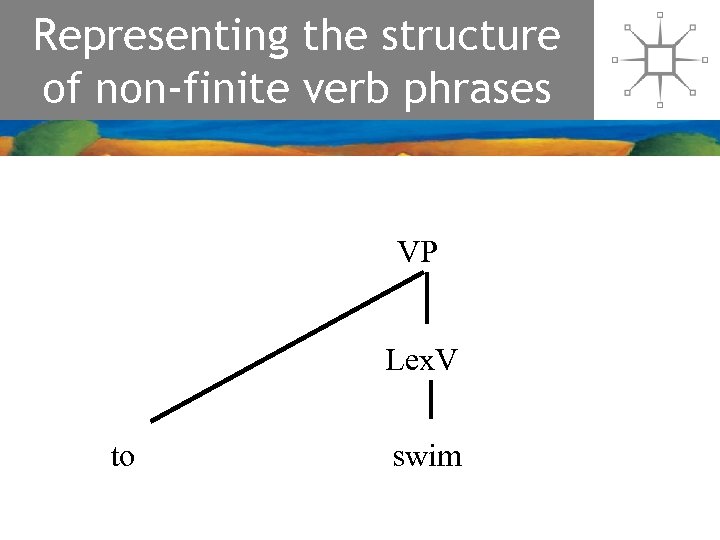 Representing the structure of non-finite verb phrases VP Lex. V to swim 