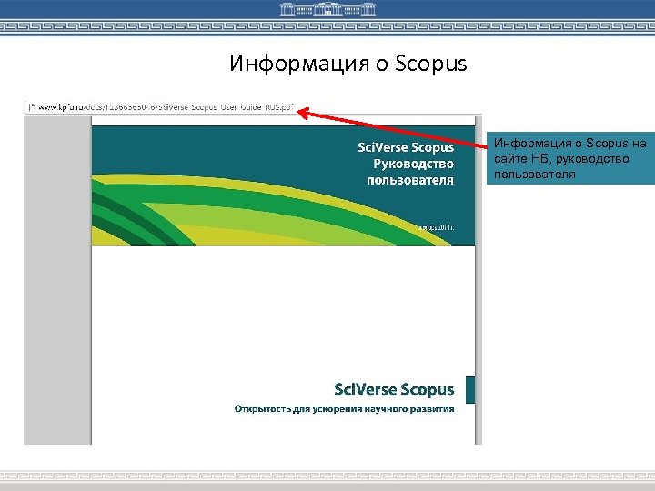 Информация о Scopus на сайте НБ, руководство пользователя 