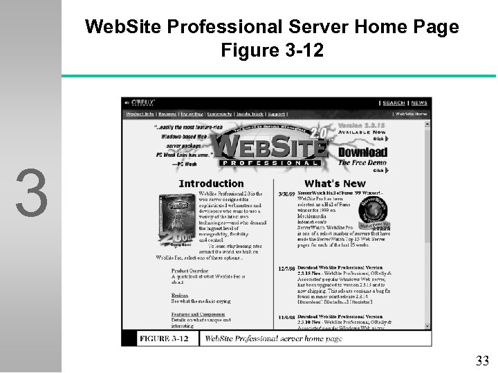 Web. Site Professional Server Home Page Figure 3 -12 3 33 