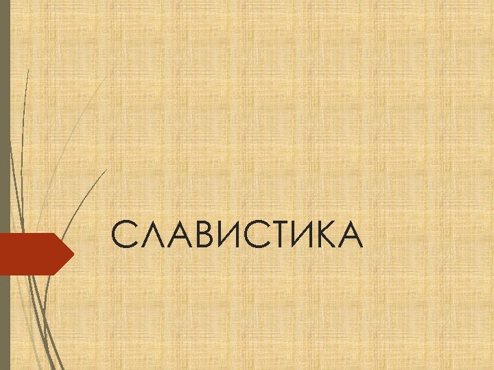 СЛАВИСТИКА 