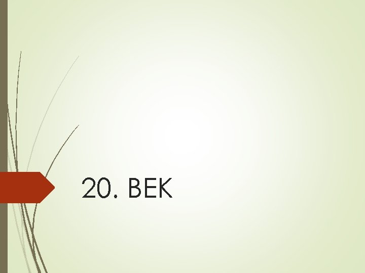 20. ВЕК 