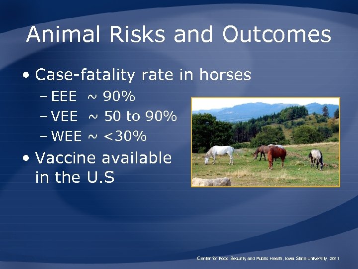 Animal Risks and Outcomes • Case-fatality rate in horses – EEE ~ 90% –